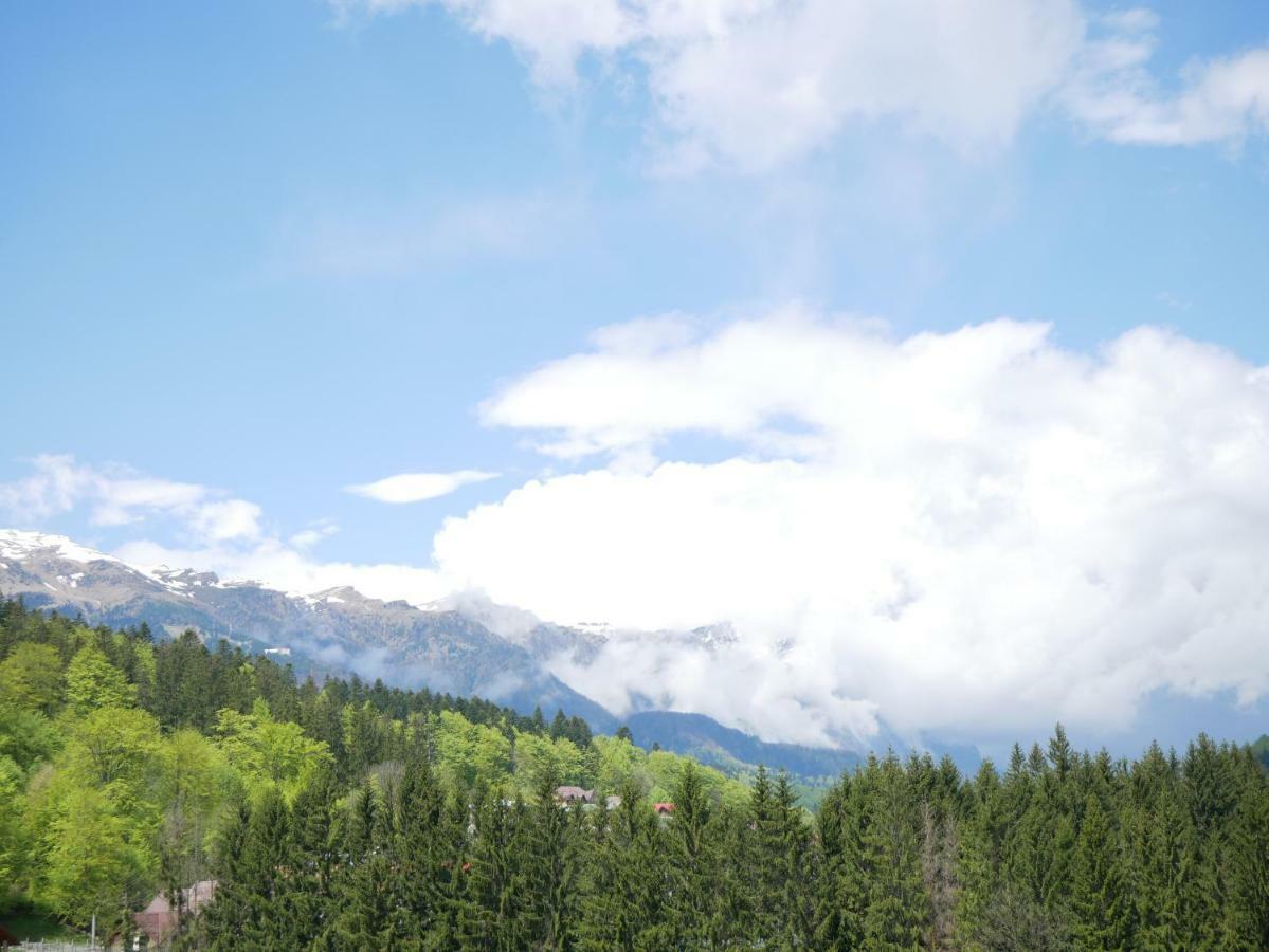 Riky Apart Mountain View Leilighet Sinaia Eksteriør bilde