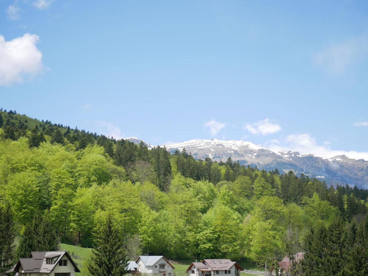 Riky Apart Mountain View Leilighet Sinaia Eksteriør bilde